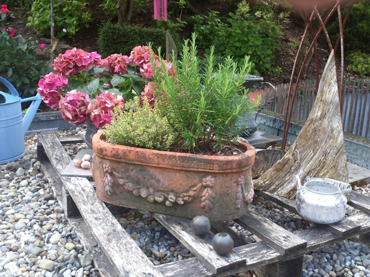 Bed & Breakfast Bodensee Mit Herz シュトックアッハ エクステリア 写真